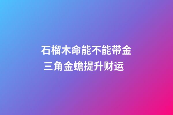 石榴木命能不能带金 三角金蟾提升财运